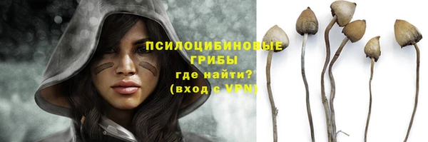 ГАЛЛЮЦИНОГЕННЫЕ ГРИБЫ Абинск