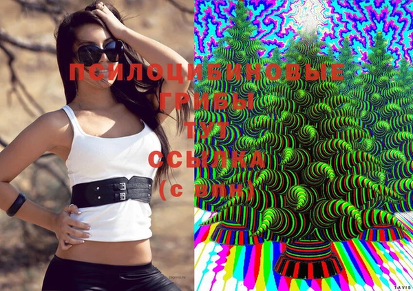 прущие крисы Алексеевка