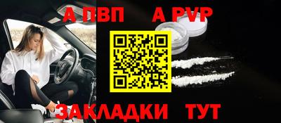 стаф Гай