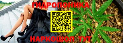 jwh Обь