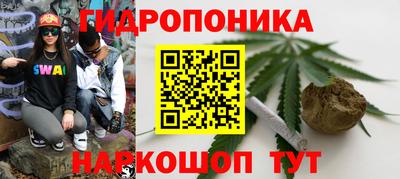 jwh Обь
