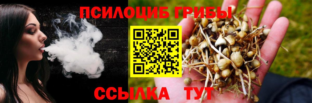 Псилоцибиновые грибы MAGIC MUSHROOMS Архангельск